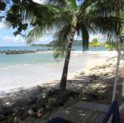 Cracking Retirement FIRE What Next